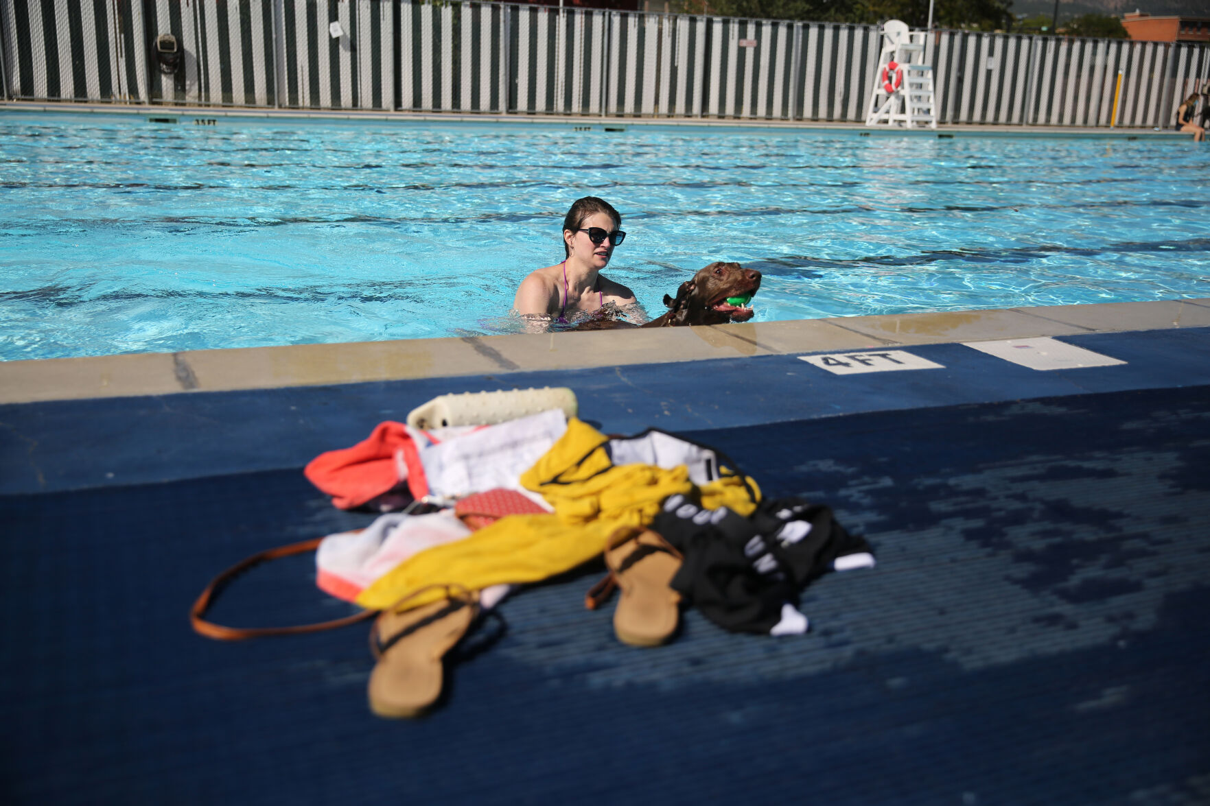 091320-news-dogsplash 9.jpg